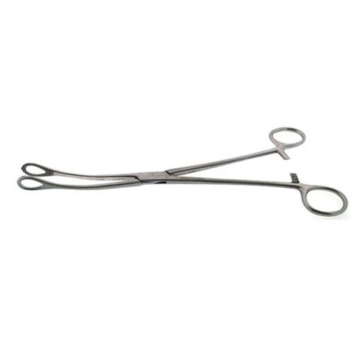 Forester Pensi Eğri 25cm