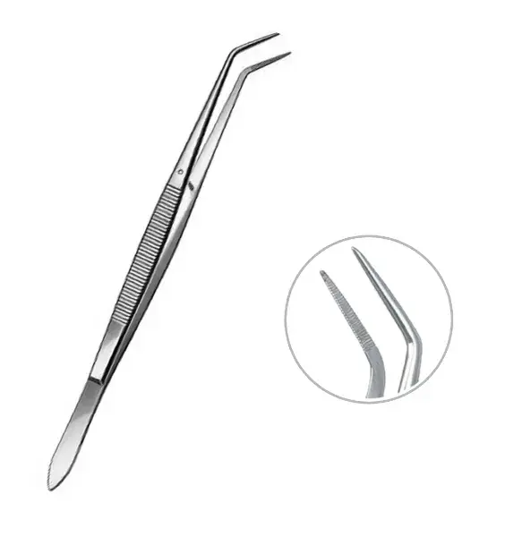 Wellson Mariam Dental Presel