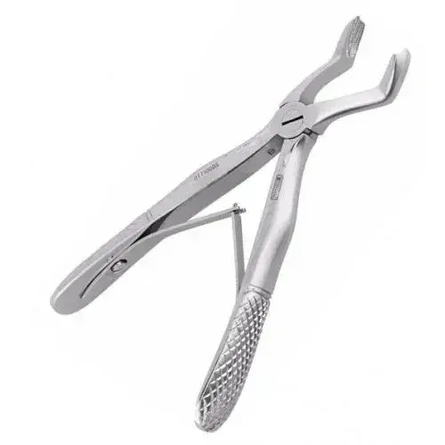 Wellson Pediatrik Üst Molar Süt Davye 12 cm