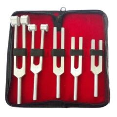 Diapozon 5'li Set