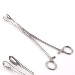 Forester Pensi Over Pensi 240 mm