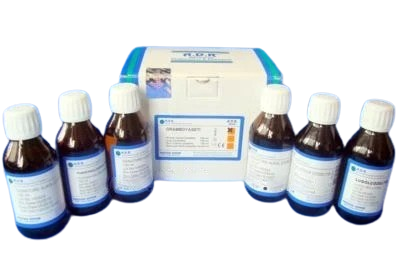 Gram Boyama Seti 100 ml.