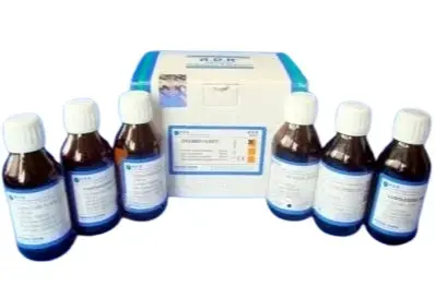 Gram boyama seti 100 ml